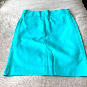 Banana Republic Pencil Skirt- NEW
